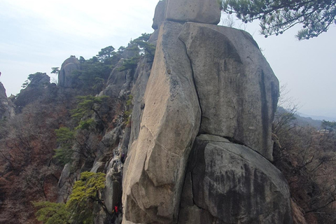 Seoul: Mt. Dobongsan National Park Hiking with Sapaesan