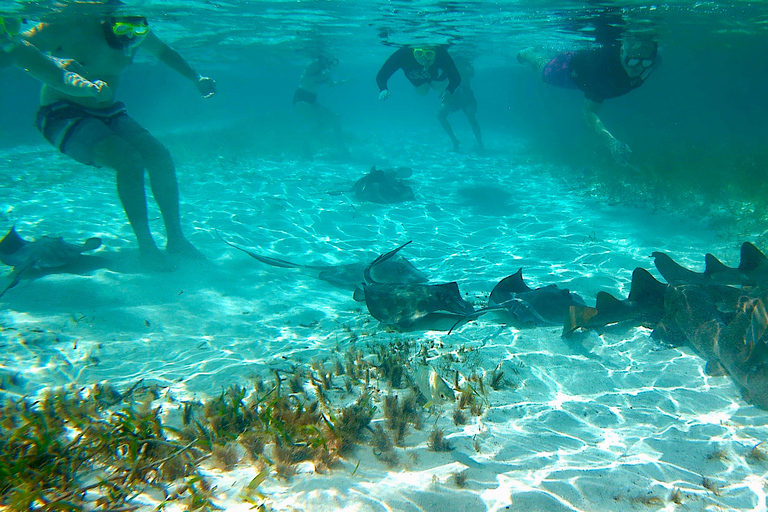 Från Caye Caulker: Snorklingstur i marinreservatetFrån Caye Caulker: Marine Reserve 3,5 timmars snorkeltur