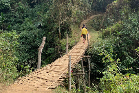 Bangladesh : Circuit de la faune et de la florevisite en petit groupe