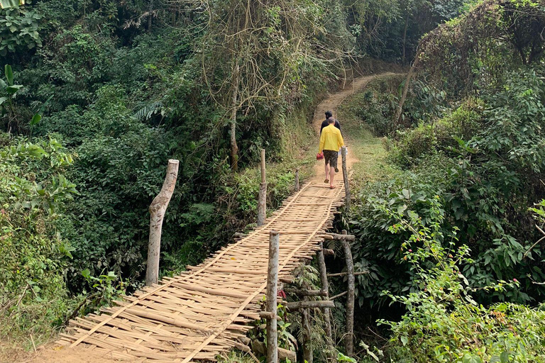 Bangladesh : Circuit de la faune et de la florevisite en petit groupe