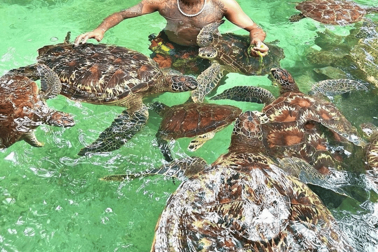 Zanzibar aquarium om te zwemmen met zeeschildpadden