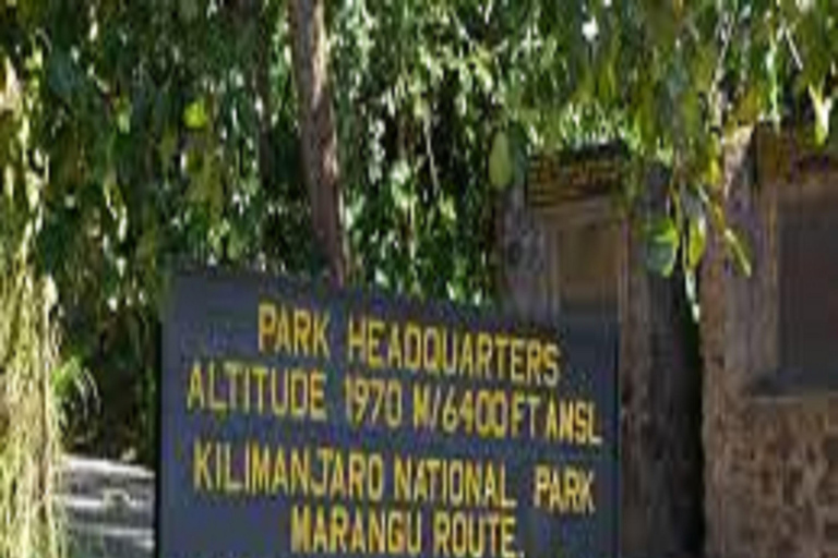 Kilimanjaro beklimming: 1-daagse Marangu Route ervaring