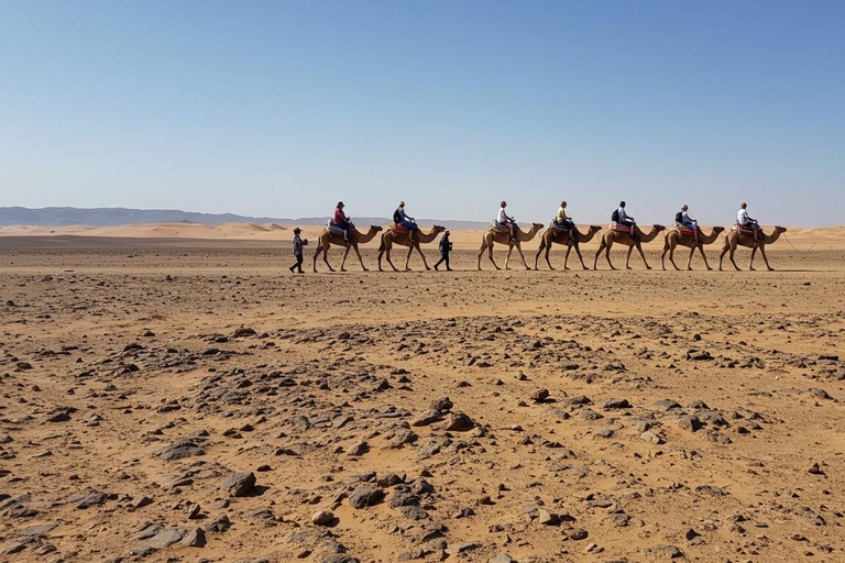 Marrakech: Agafay Wüste Quad &amp; Kamelreiten mit Dinner ShowMarrakesch: Quad- und Kamelritt in der Agafay-Wüste mit Dinner-Show