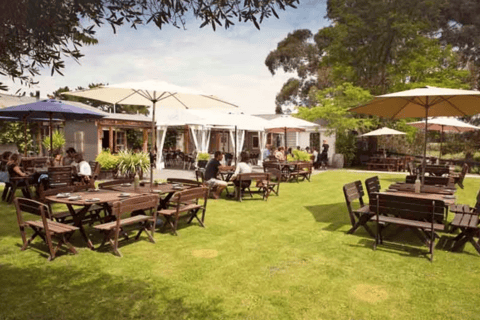 Christchurch: Waipara Wine Trail with Lunch Included