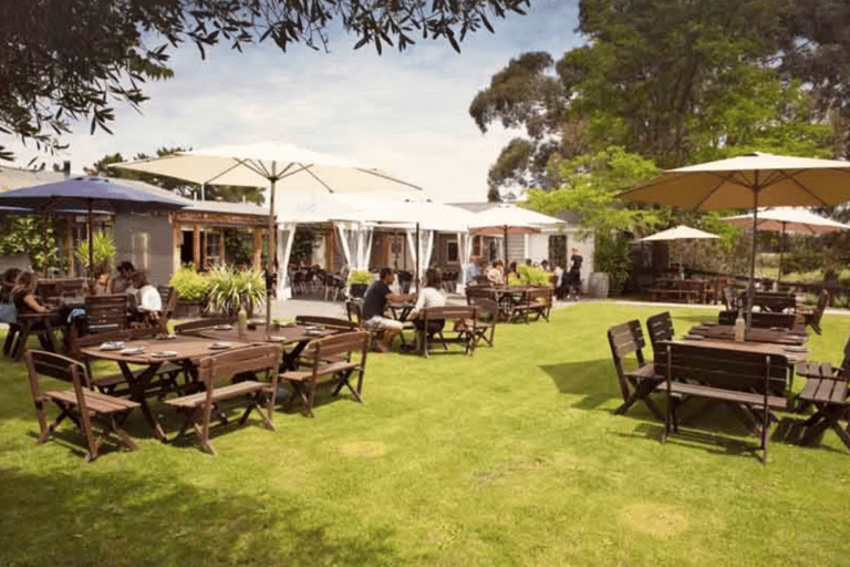 Christchurch: Waipara Wine Trail with Lunch Included