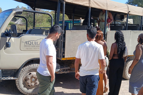 Cape Town: Aquila Game Reserve Safari with Buffet & Pickup