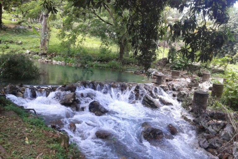Negril Tour: Seven Mile Beach, Ricks Cafe & Sunset Views