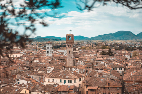 Pisa e Lucca: tour privato di 1 giorno da Firenze