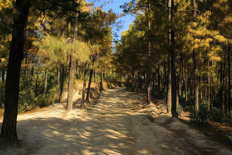 Kathmandu: Tarebhir, Nagi Gompa, & Budhanilkantha Day Hike