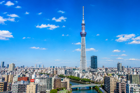 Tokyo: Tokyo Full Day Private Customizable Tour with Guide