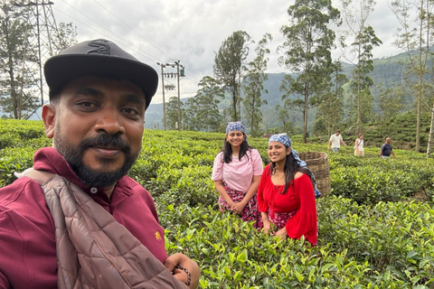 Kandy: Road-to-Rail Journey to Ella via Nuwara Eliya