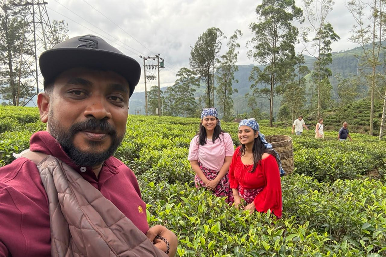 Kandy: Road-to-Rail Journey to Ella via Nuwara Eliya