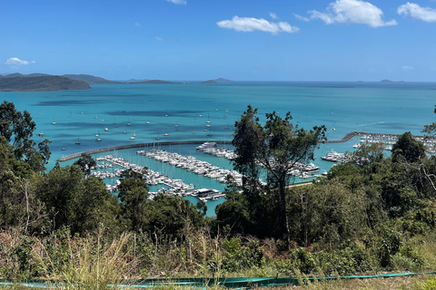 Airlie Beach: Hopper Sightseeing Bus met Lunch