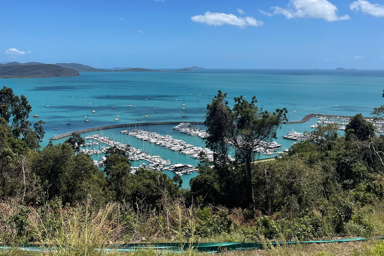 Airlie Beach: Hopper Sightseeing Bus mit Mittagessen