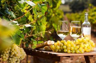 Provenzalischer Markt & Weinverkostung Ganztagestour