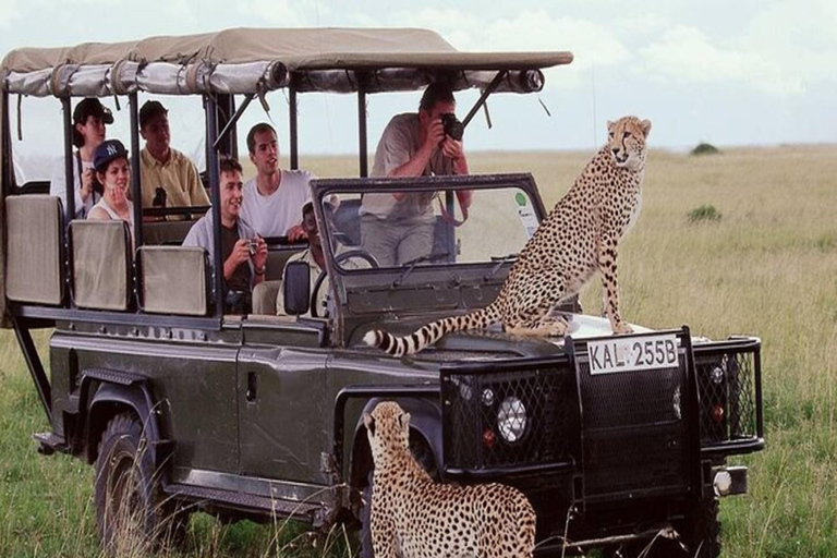 Nairobi: 3-Day Amboseli National Park Flying Safari