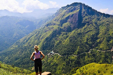 Kandy: Pidurutalagala Mountain Day Trip with Pickup