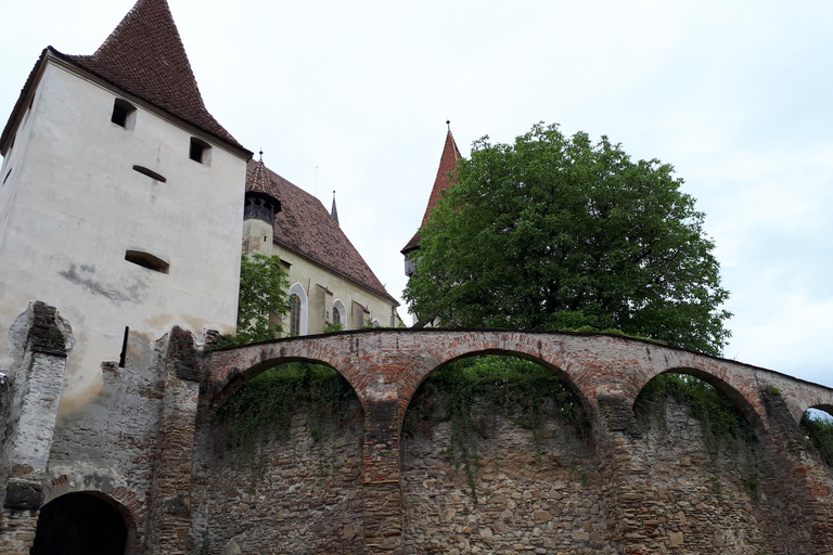 بوخارست: جولة خاصة في ترانسلفانيا لمدة 4 أيام - تشمل الفنادق