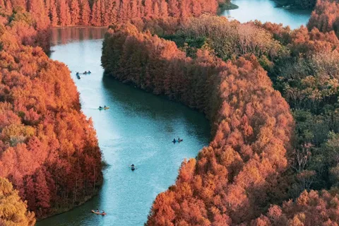 Szanghaj: Przygoda kajakowa w Shanghai Bay Forest Park