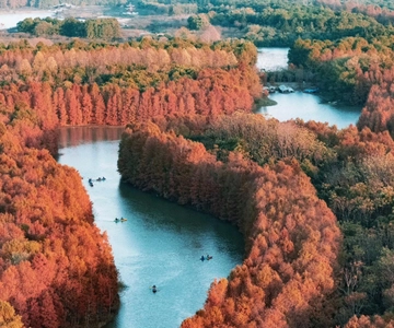 Shanghái: Aventura en kayak en el Parque Forestal de la Bahía de Shanghái