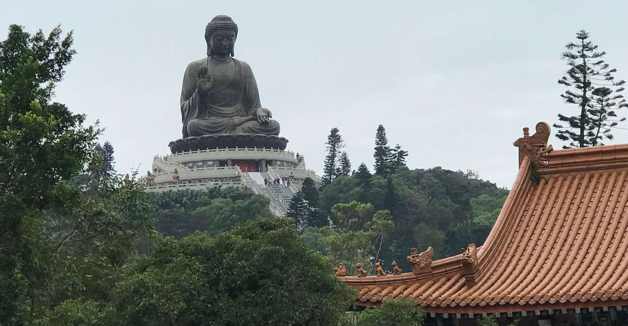 Hong Kong: Lantau & Ngong Ping 360 Buddha Tour w/Transfers