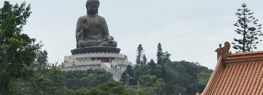 Hong Kong : visite de Lantau et du Bouddha de Ngong Ping 360 avec transferts