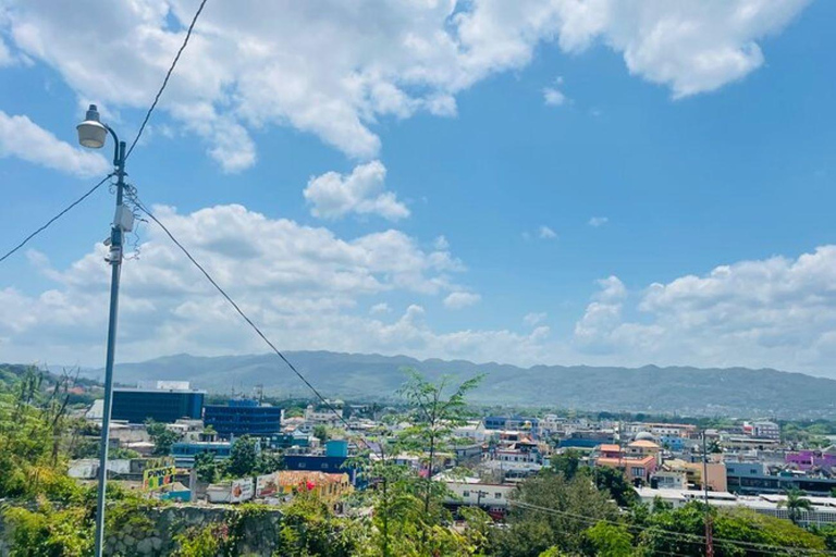 Montego Bay: Tour Privado Histórico e Cultural Local