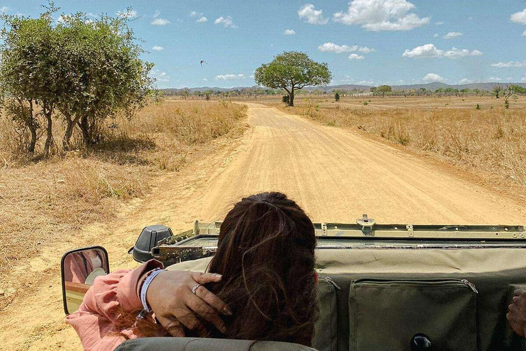 From Zanzibar: Mikumi Safari Day Trip with Flights and Lunch Mikumi Shared Safari without hotel transfer