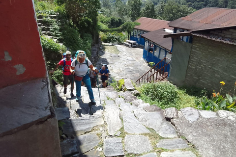 Pokhara: 4-Day Ghorephani and Poon Hill Private Trek
