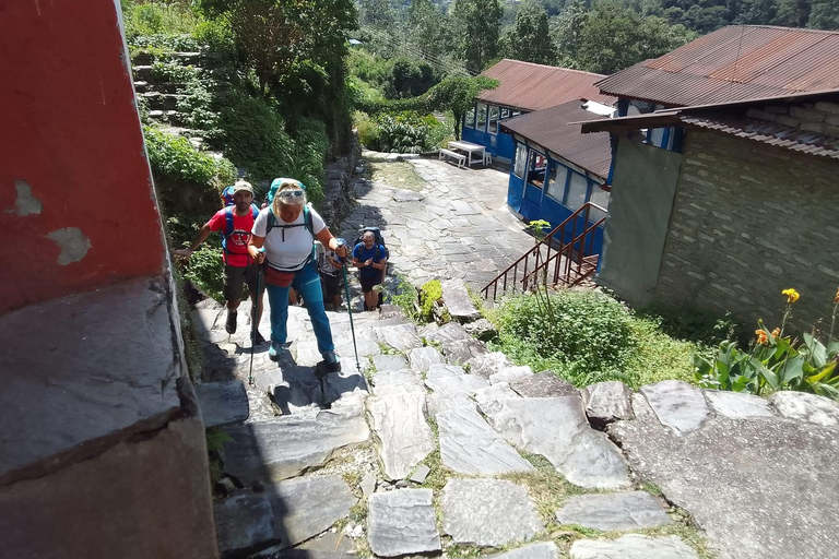 Pokhara: 4-Day Ghorephani and Poon Hill Private Trek