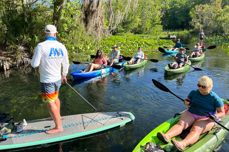 Orlando: Blue Springs Manatee Kayak Tour