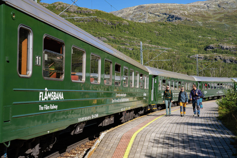 Från Bergen: Dagsutflykt med Flams järnväg och Fjordkryssning