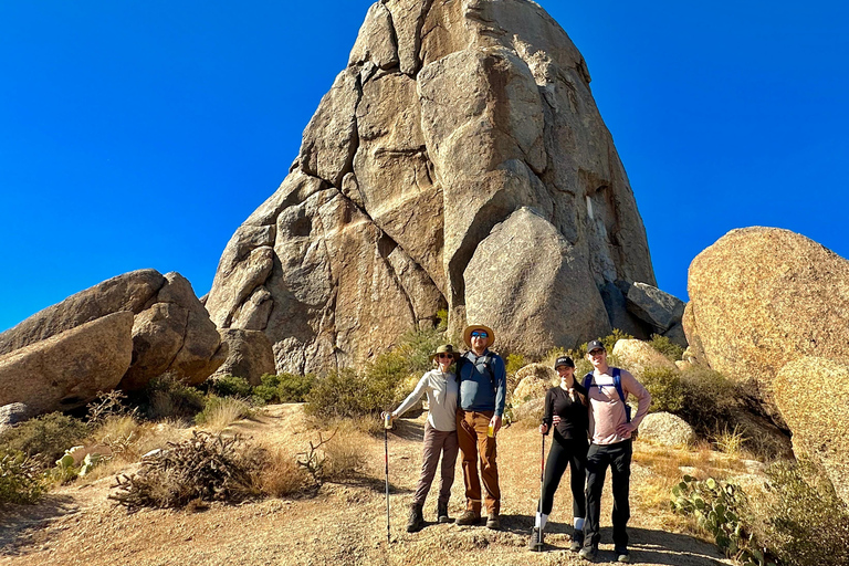 Ongelooflijke verborgen vallei wandeling met gids in Phoenix, Arizona