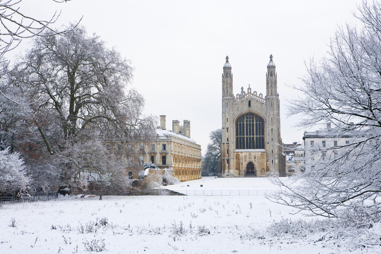 Enchanted Cambridge: A Festive Christmas Tour