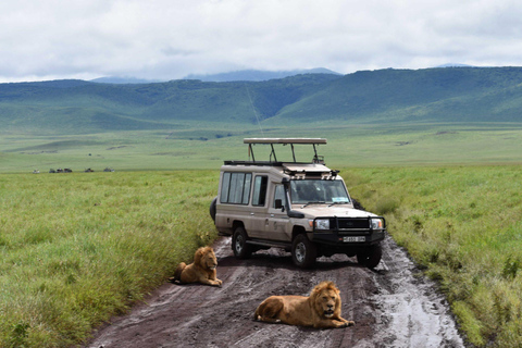 4 Dagar Tarangire, Ngorongoro, Serengeti Gruppsammanslagning Safari4 dagars naturskön gruppsafari i Tarangire, Ngorongoro och Serengeti