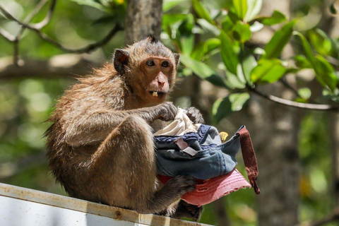 Can Gio Mangrove Forest and Monkey Island full day tour