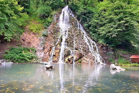 5-Day Azerbaijan Tour: Baku, Shahdag, Gobustan & Gabala Option 2 – Standard Package (5–7 Pax)