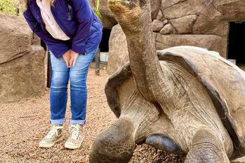 Baby Animals, Boomerangs & BBQ Lunch From Sydney: Baby Animals & Boomerangs Tour with BBQ Lunch