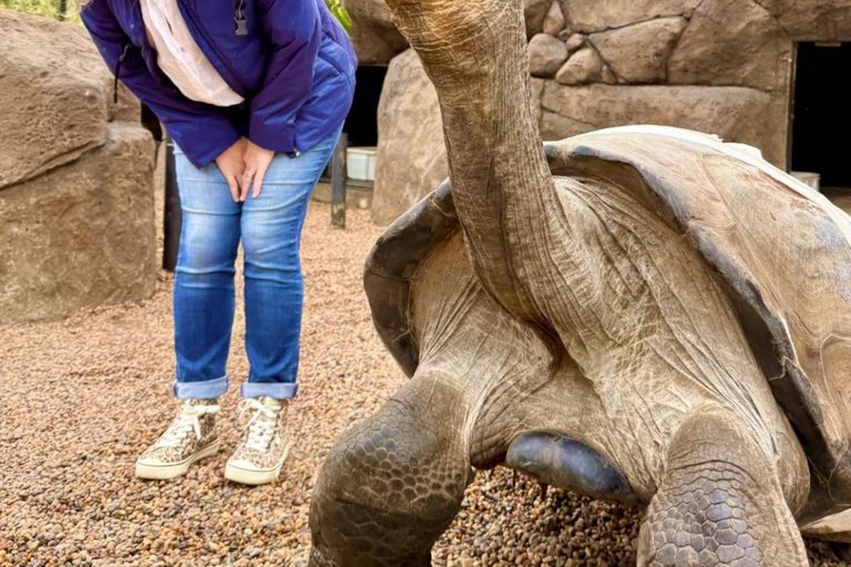 Baby Animals, Boomerangs & BBQ Lunch From Sydney: Baby Animals & Boomerangs Tour with BBQ Lunch