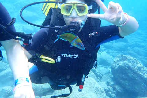 Alanya: Full-Day Scuba Diving Tour with Lunch /2 Dives