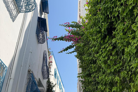 Tunis: Medina Shopping & Sidi Bou Said Half-Day Tour