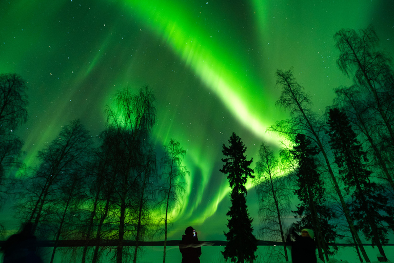 روفانيمي: جولة مضمونة لمشاهدة الشفق القطبي الشمالي + صور