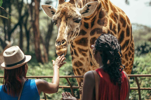 Nairobi National Park and Beads Centre Day Tour