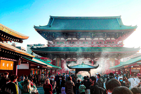 Tokio A: Tour de la ciudad en Español - Spanish Tokyo A: Private Tour