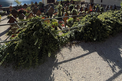 From Salzburg: Private Day Trip to Hallstatt