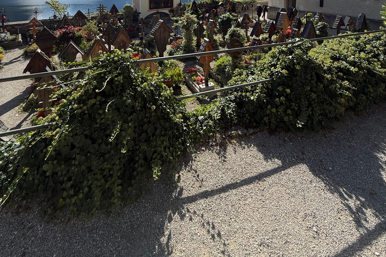 From Salzburg: Private Day Trip to Hallstatt