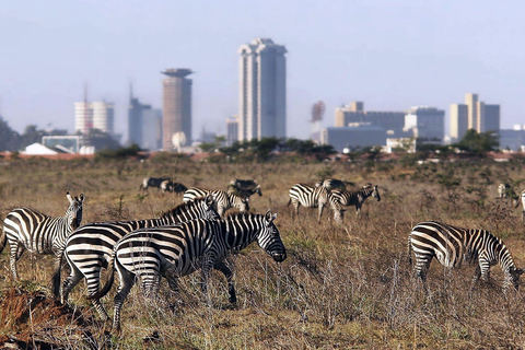 Excursão ao Parque Nacional de Nairobi, Bebê Elefante e Girafa