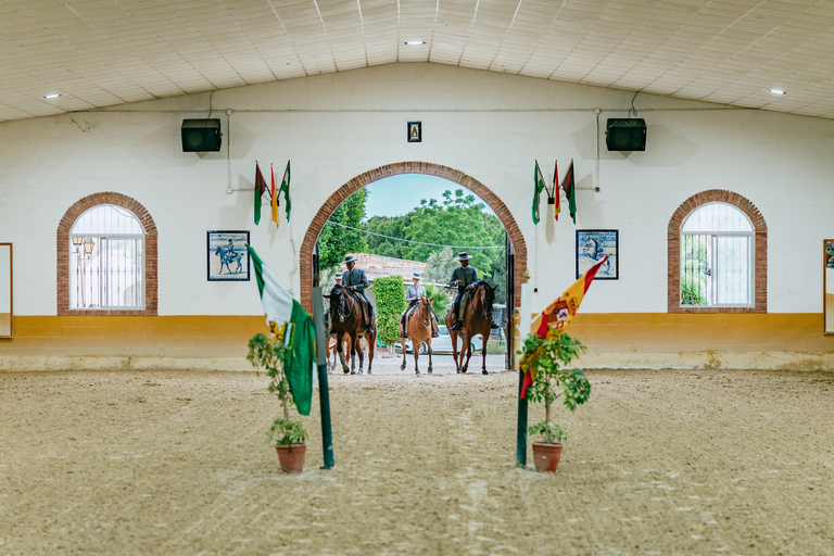 Malaga: Horse Show with Dinner, Drinks & Live Flamenco Show Only horse show with a bit of flamenco dancing