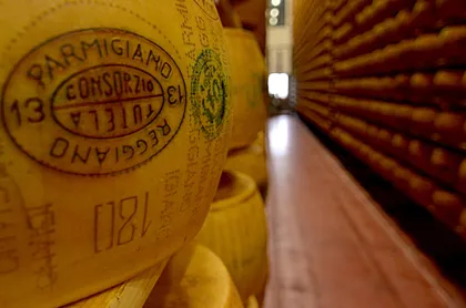 Reggio Emilia: Parmigiano-Reggiano-Molkereitour mit Verkostung Reggio Emilia: Parmigiano-Reggiano-Molkereitour mit Verkostung