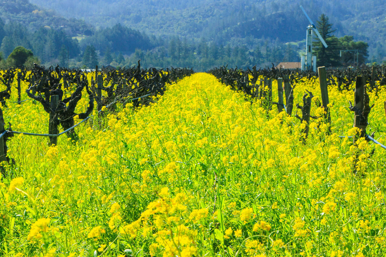 Napa Valley: Driver & Guide Service California wine country